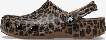 Crocs Сабо в Коричневый: спереди