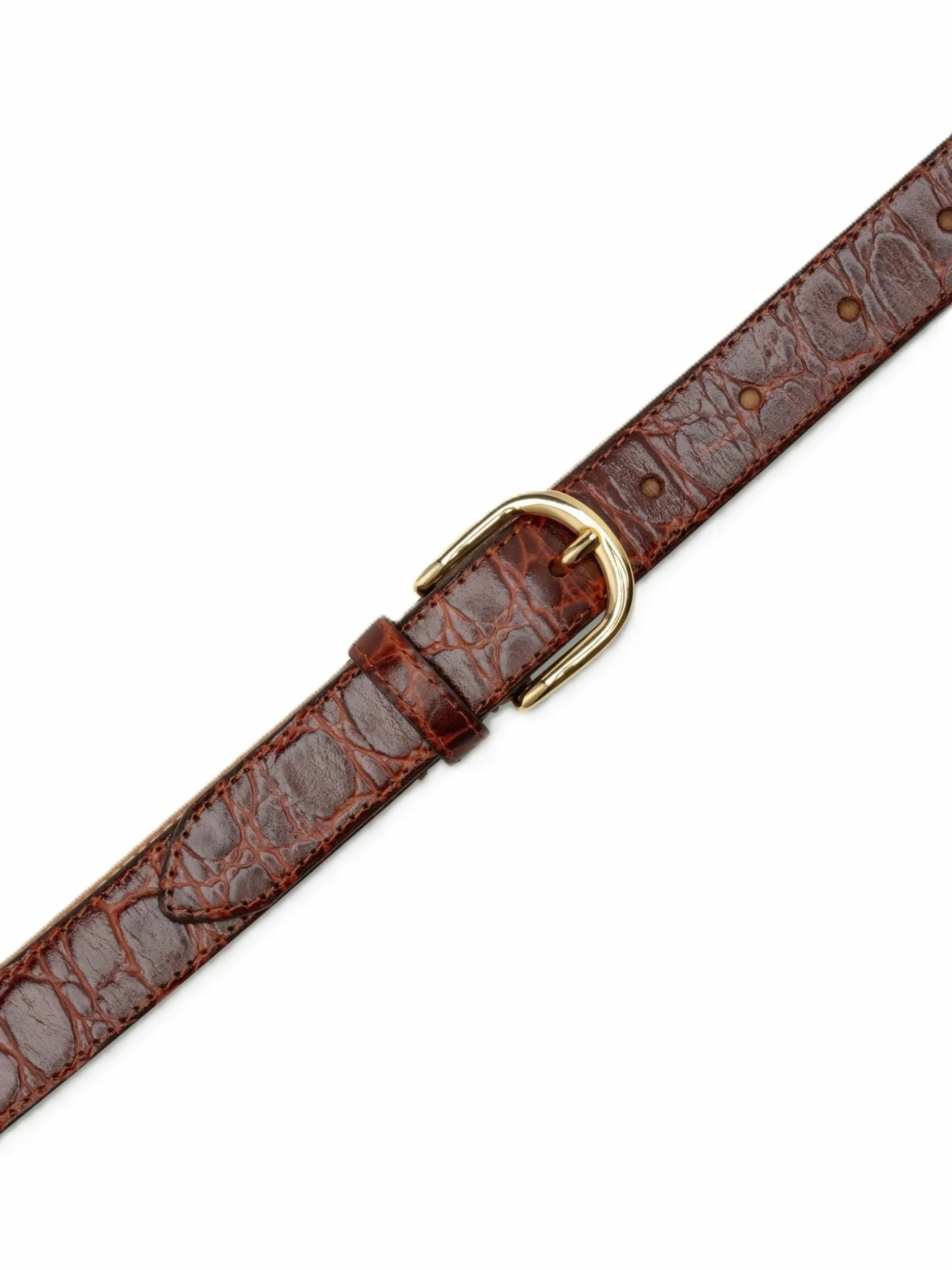 Ca'Shott Riem ' CASVERA ' in Bruin