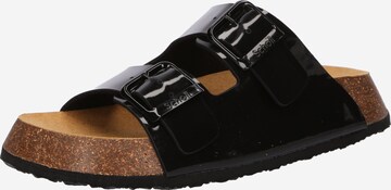 SCHOLL Mules 'NOELLE 24' in Black: front