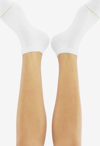 CHEERIO* Socks 'SNEAKER PAL 4P' in White: back