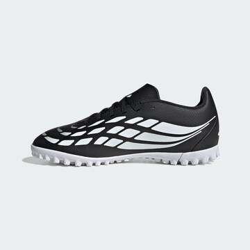 Chaussure de sport 'Predator Club' ADIDAS PERFORMANCE en noir
