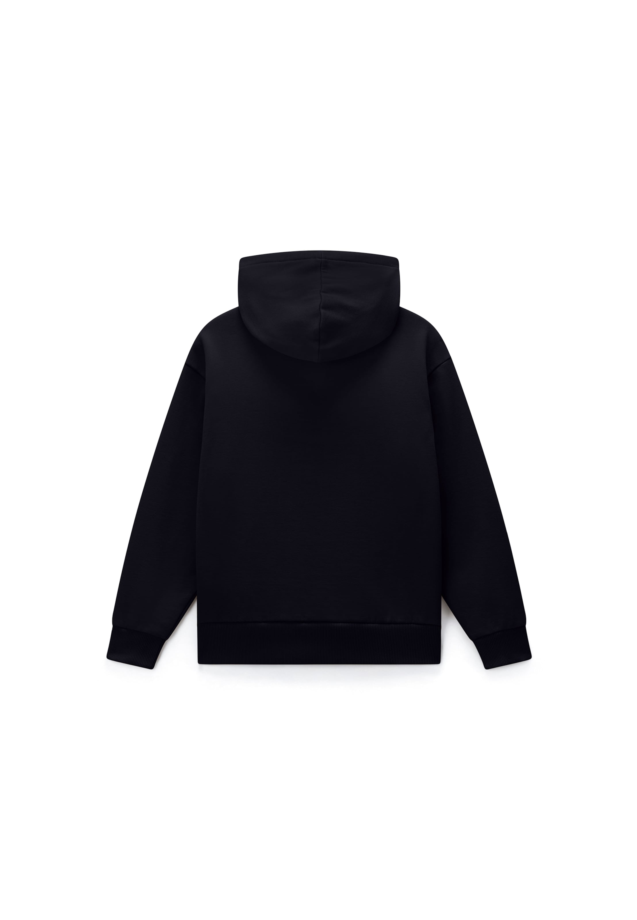 NAPAPIJRI Sweatshirt in Blue