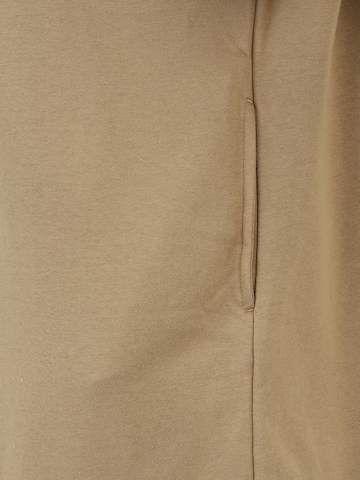 Gap Petite Kleid in Beige