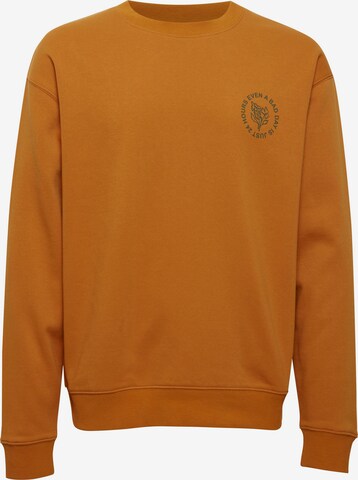 !Solid Sweater in Brown: front