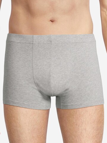 SEIDENSTICKER Boxer shorts 'Pur' in Mixed colors: front
