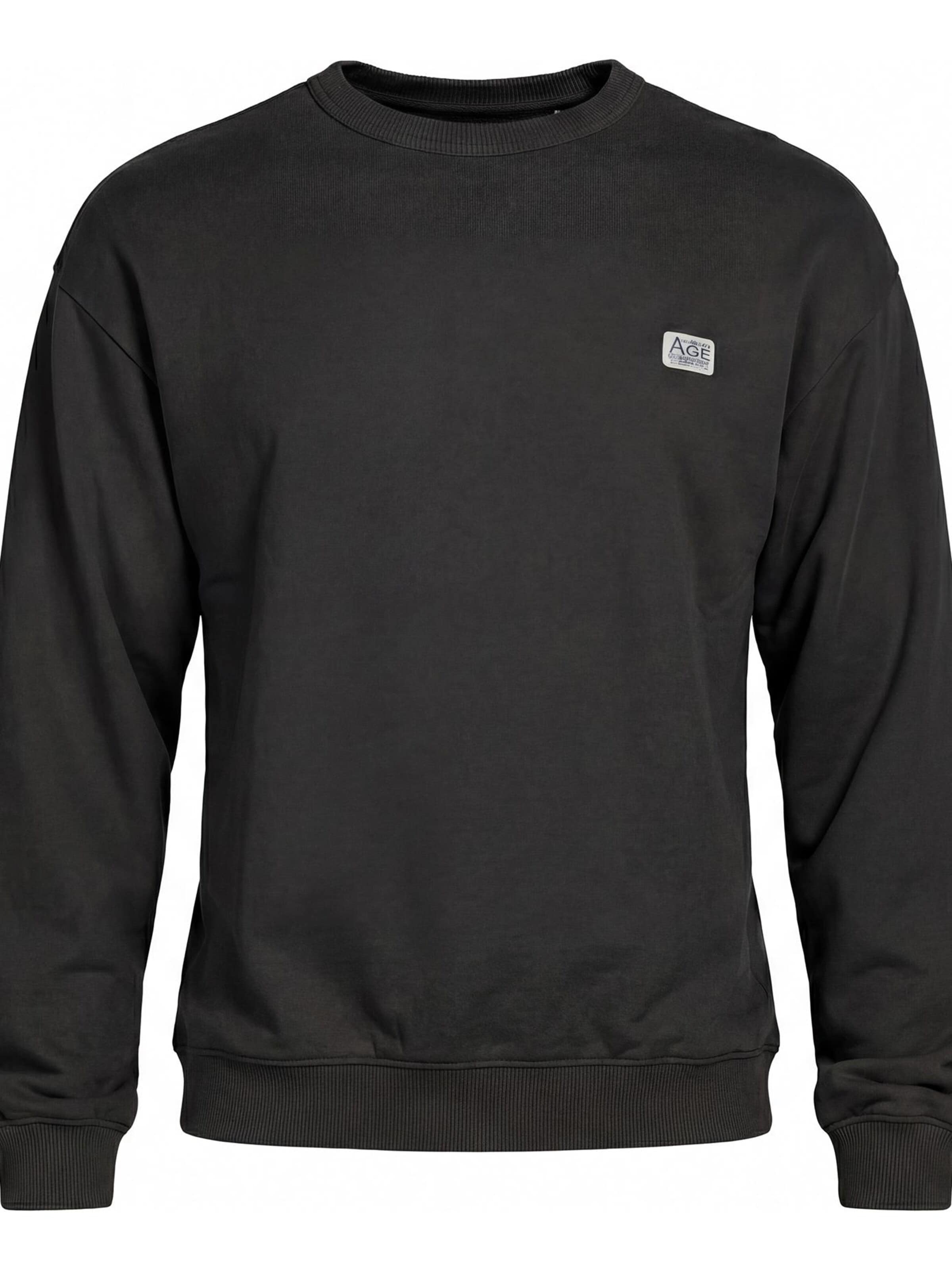 Carrera Jeans Sweatshirt 'Boxy Fit'‌‌‌‌‌‌ in Grau: Vorderseite