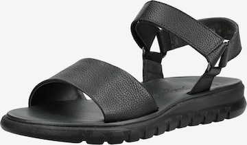 Sandales à lanières Paul Green en noir : devant