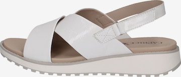 CAPRICE Sandals in White