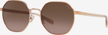 COACH Sunglasses in Gold: front