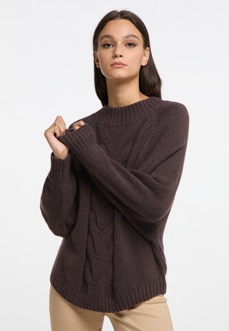 Pull-over RISA en marron : devant