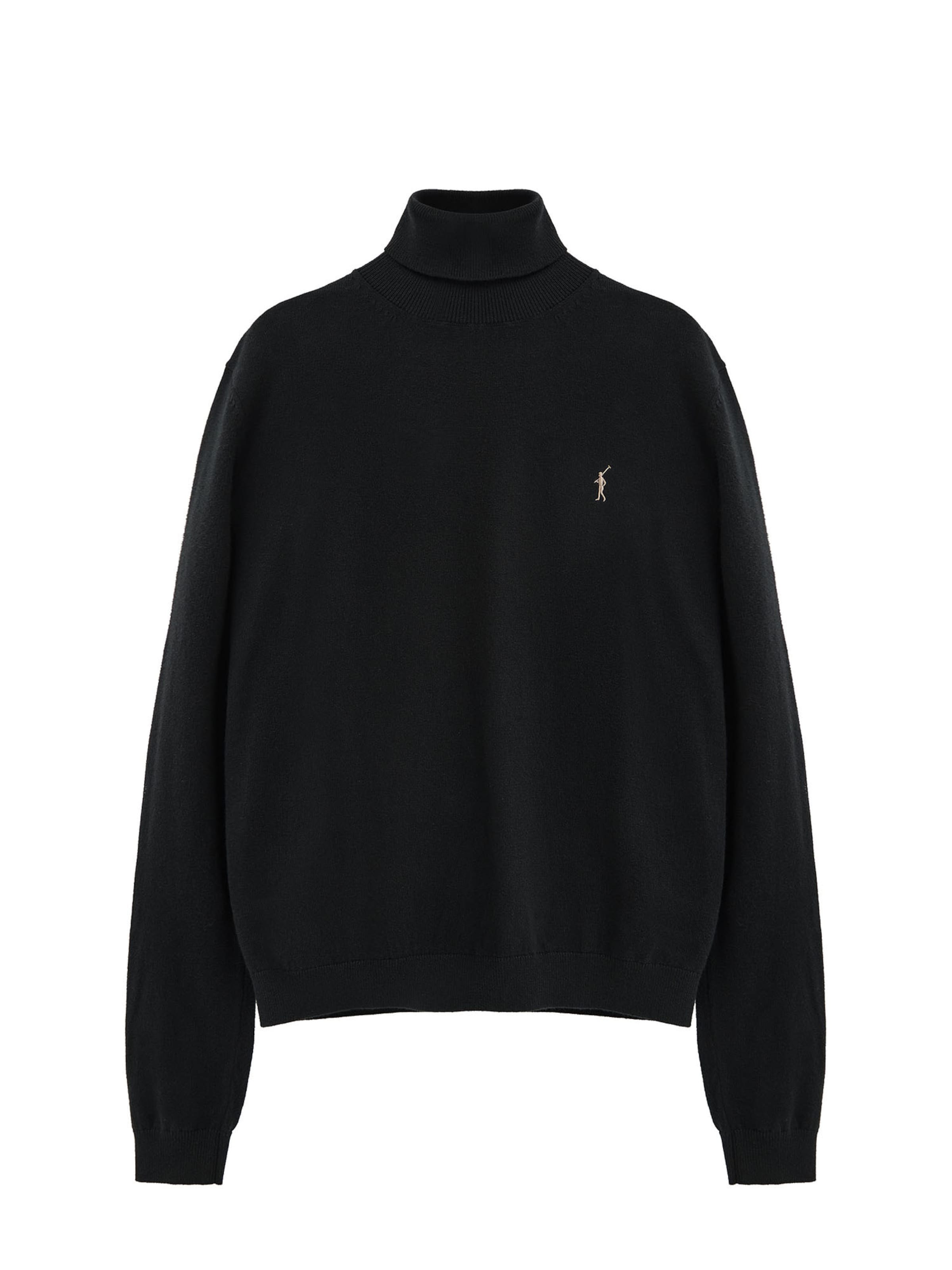 Polo Club Pullover 'RIGBY' in Schwarz: Vorderseite