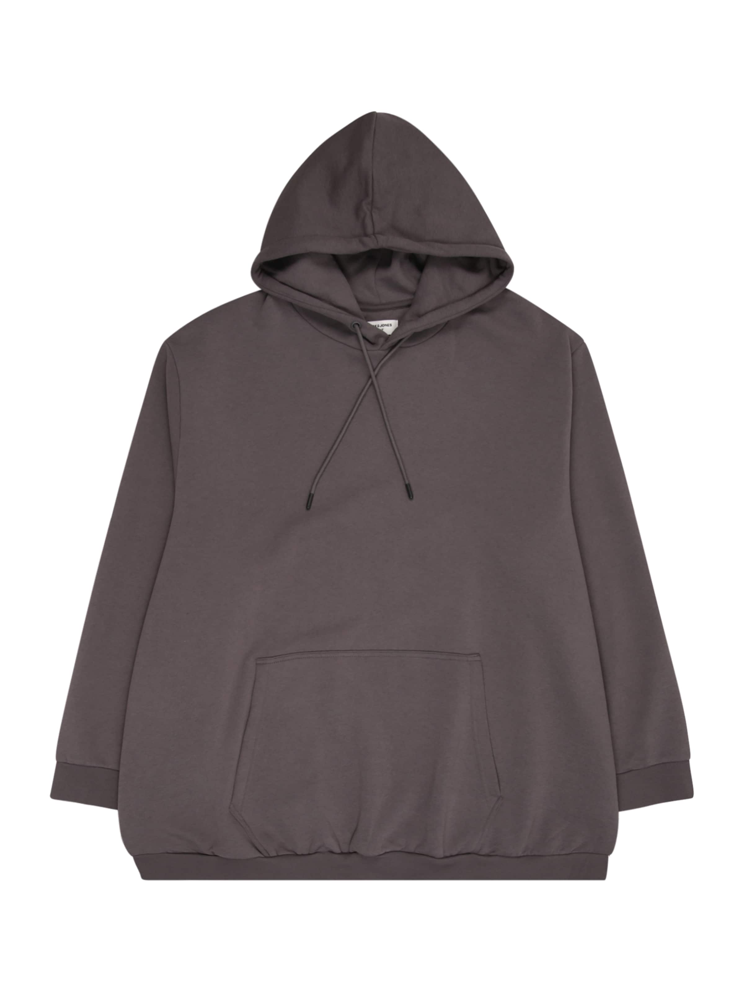 Jack & Jones Plus Sweatshirt 'JJEBradley' in Grey: front