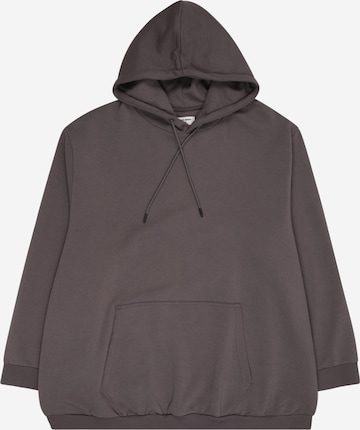 Jack & Jones Plus Свитшот 'JJEBradley' в Серый: спереди