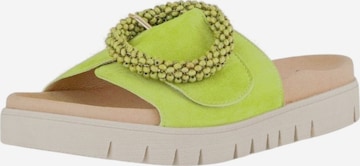 Zoccoletto di GABOR in verde: frontale
