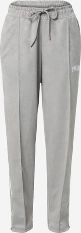 regular Pantaloni con piega frontale 'CHRISTIE' di Pegador in grigio: frontale