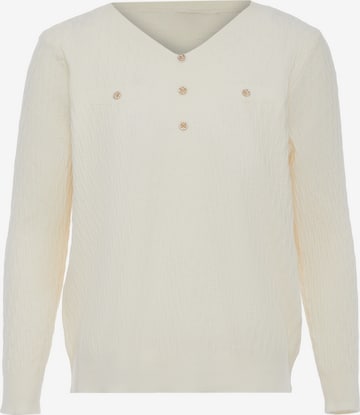 Pull-over caneva en beige : devant