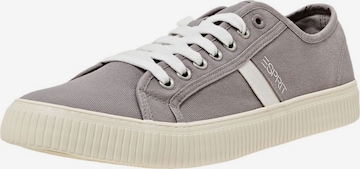 Baskets basses ESPRIT en gris : devant