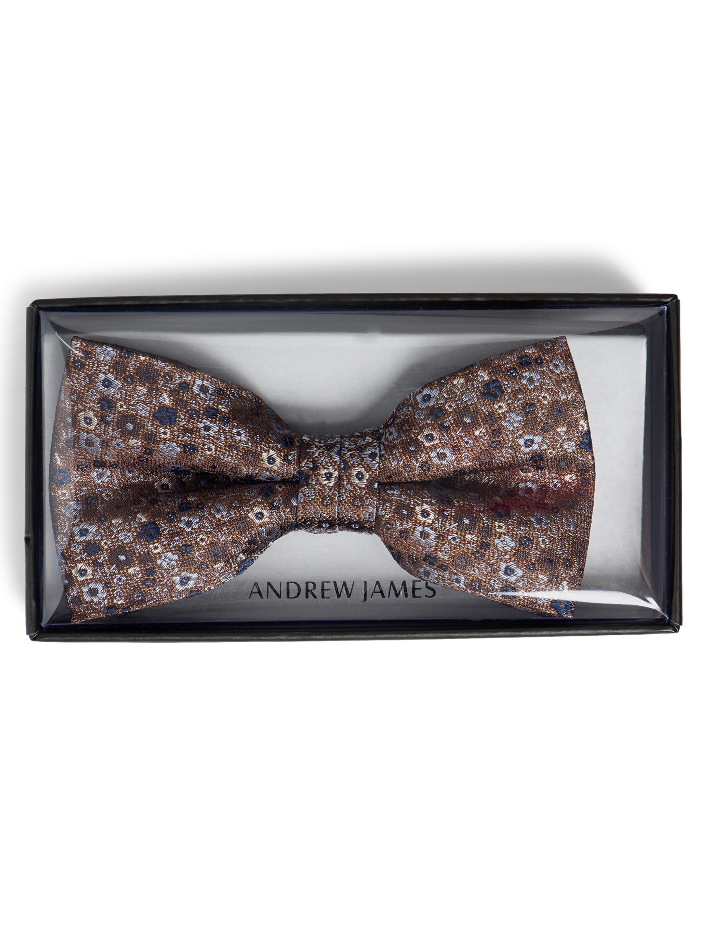 Andrew James Bow Tie in Brown