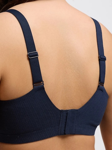 cfab Push-up BH 'Jaquard Seamless Compact Push-Up BH' in Blauw