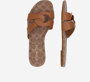 COACH - Zapatos abiertos 'Essie' en marrón
