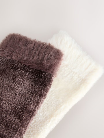 Calzino di Next in beige