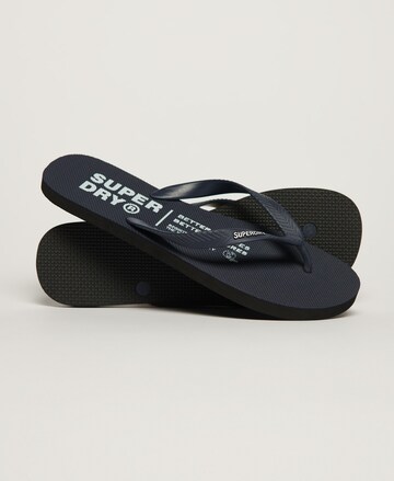 Superdry T-Bar Sandals in Blue