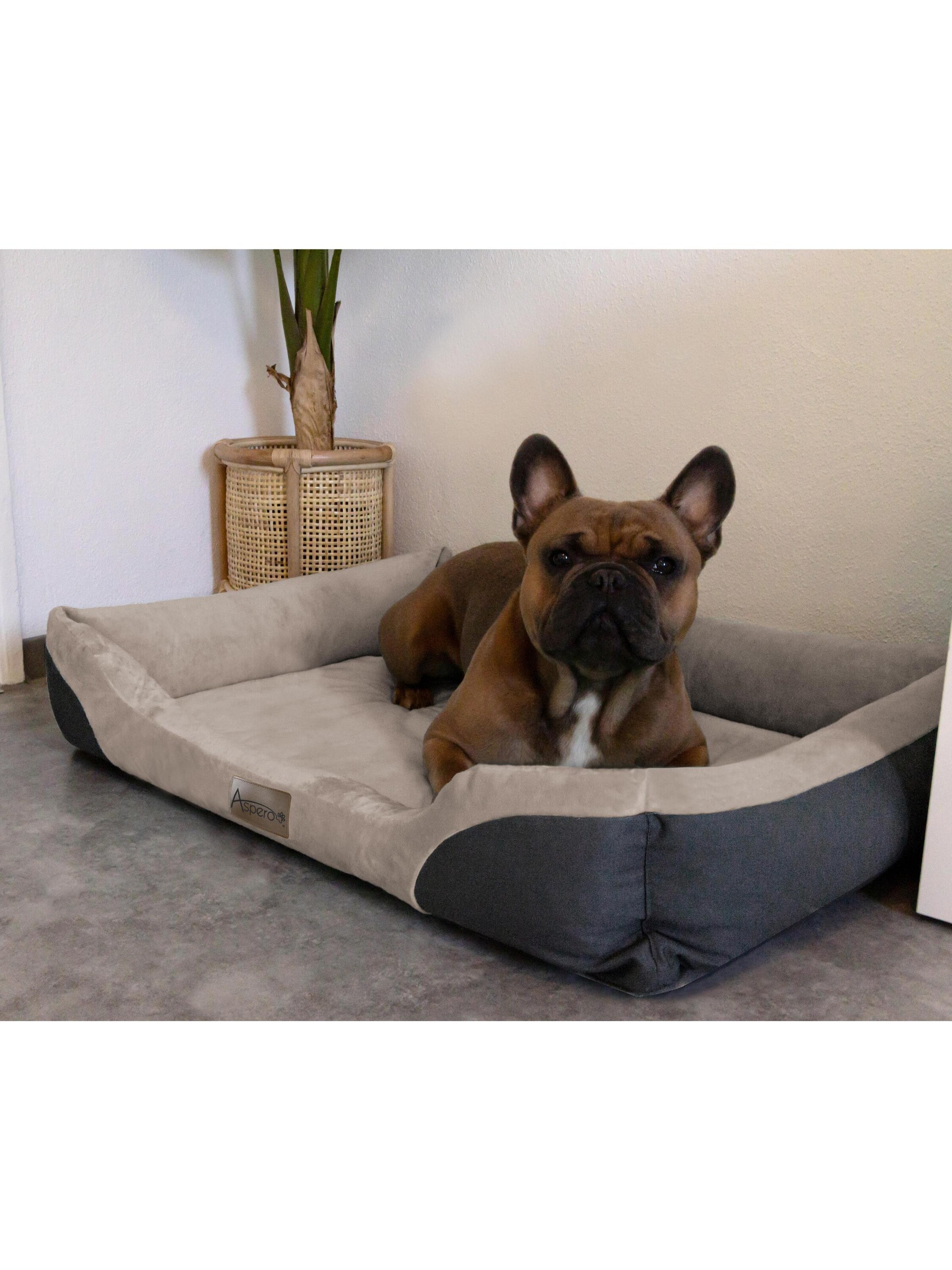 Aspero Accessoires voor dieren 'Hanko' in Beige