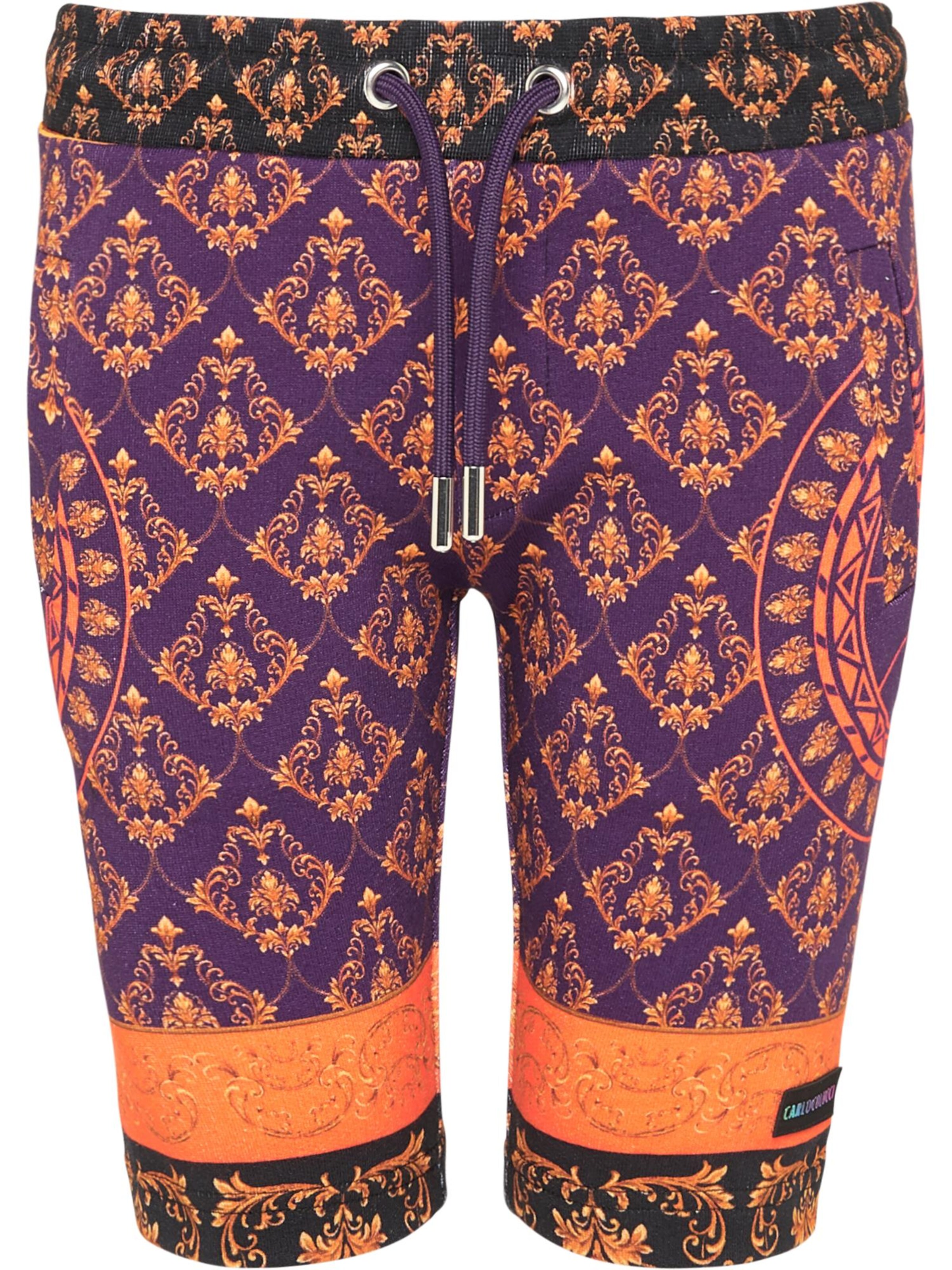 Regular Pantalon ' Colantoni ' Carlo Colucci en mélange de couleurs : devant