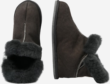 SHEPHERD Slipper in Grey