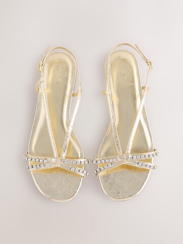 Next Sandals 'Forever Comfort®' in Gold