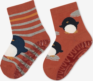 STERNTALER Socks in Brown: front