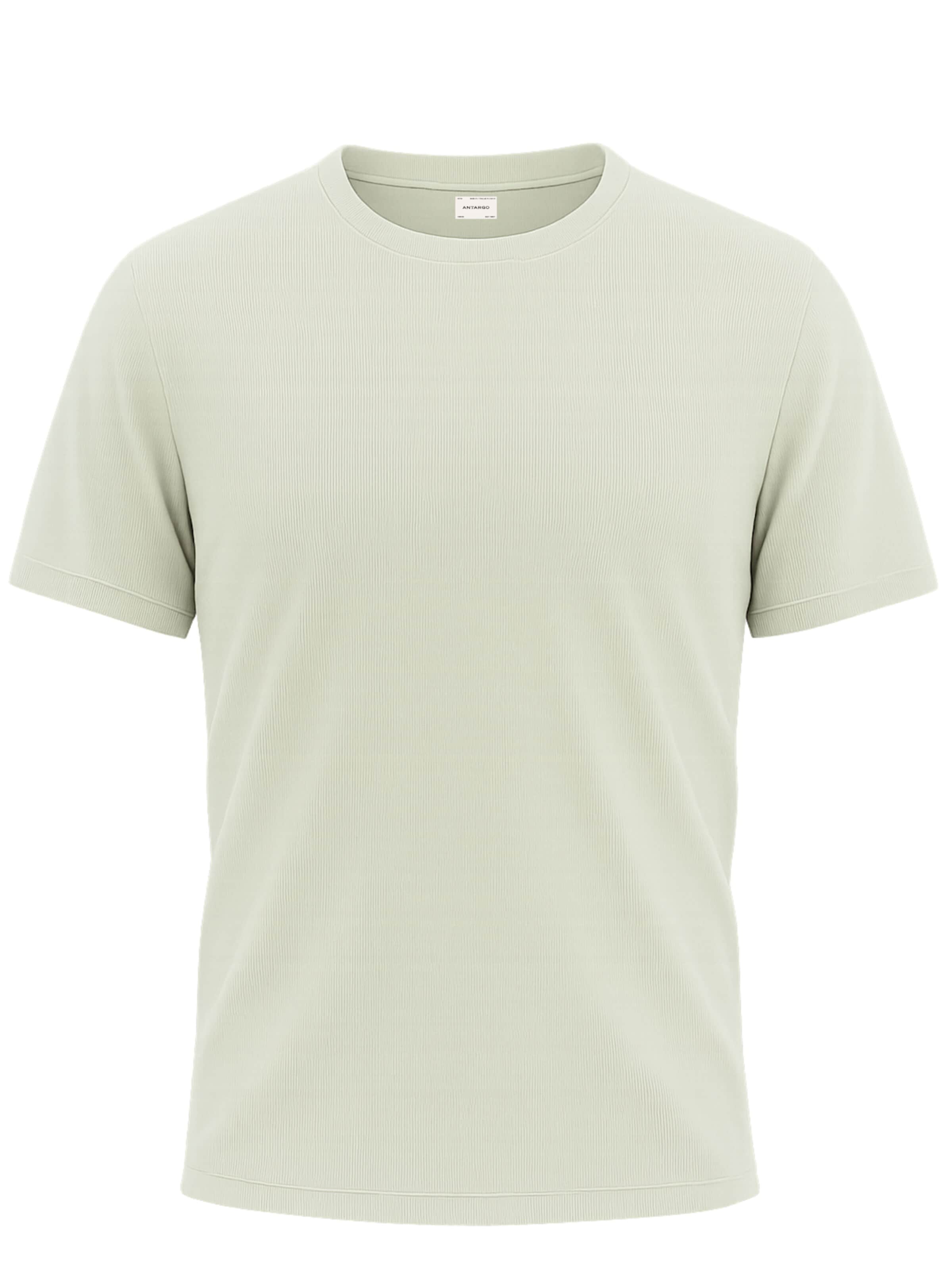 Antargo Shirt 'Waffle T-Shirt' in Green: front