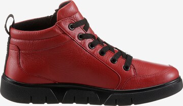 ARA High-Top Sneakers in Red