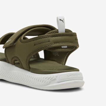 PUMA Sandals 'Pro 24' in Green