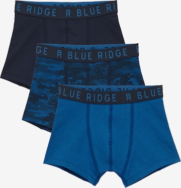 mėlyna WE Fashion Apatinės kelnaitės: priekis