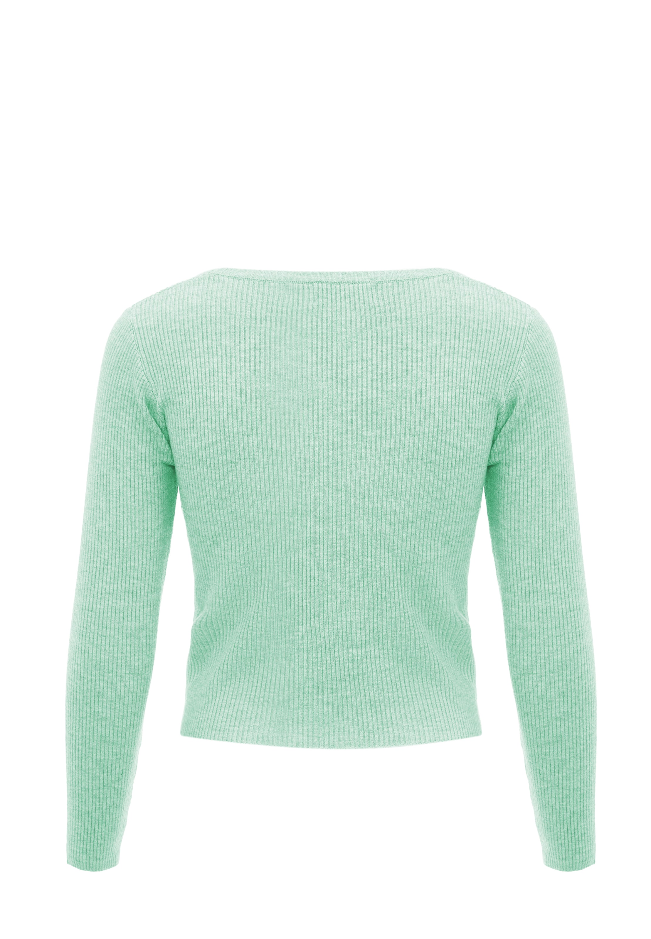 leo basics Sweater in Green