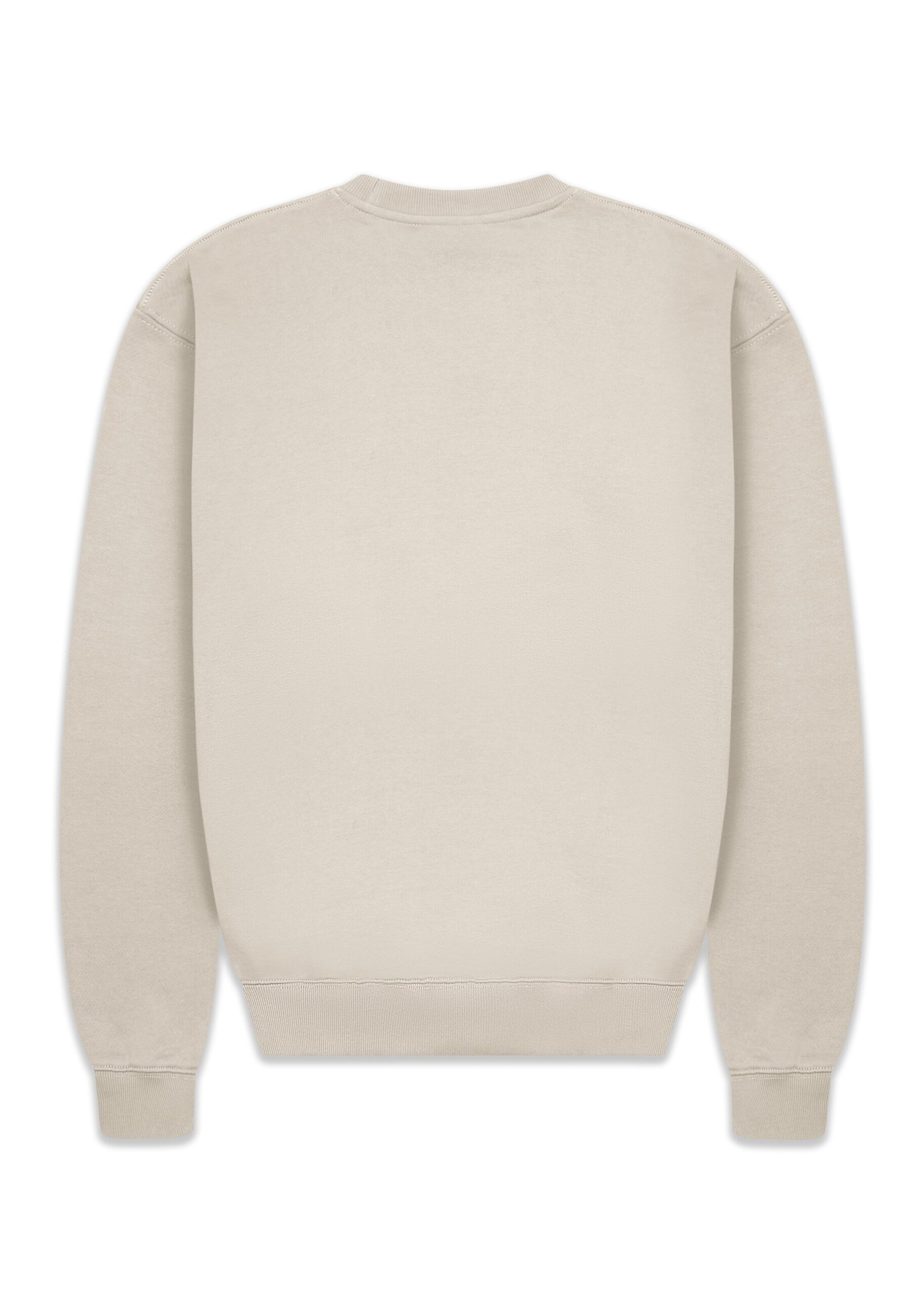 Dropsize Sweatshirt in Grau