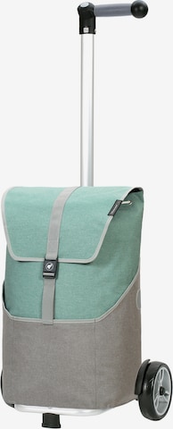 Trolley di Andersen Shopper in grigio: frontale