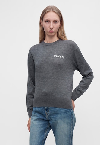 PINKO Sweater 'MARTINICA' in Grey