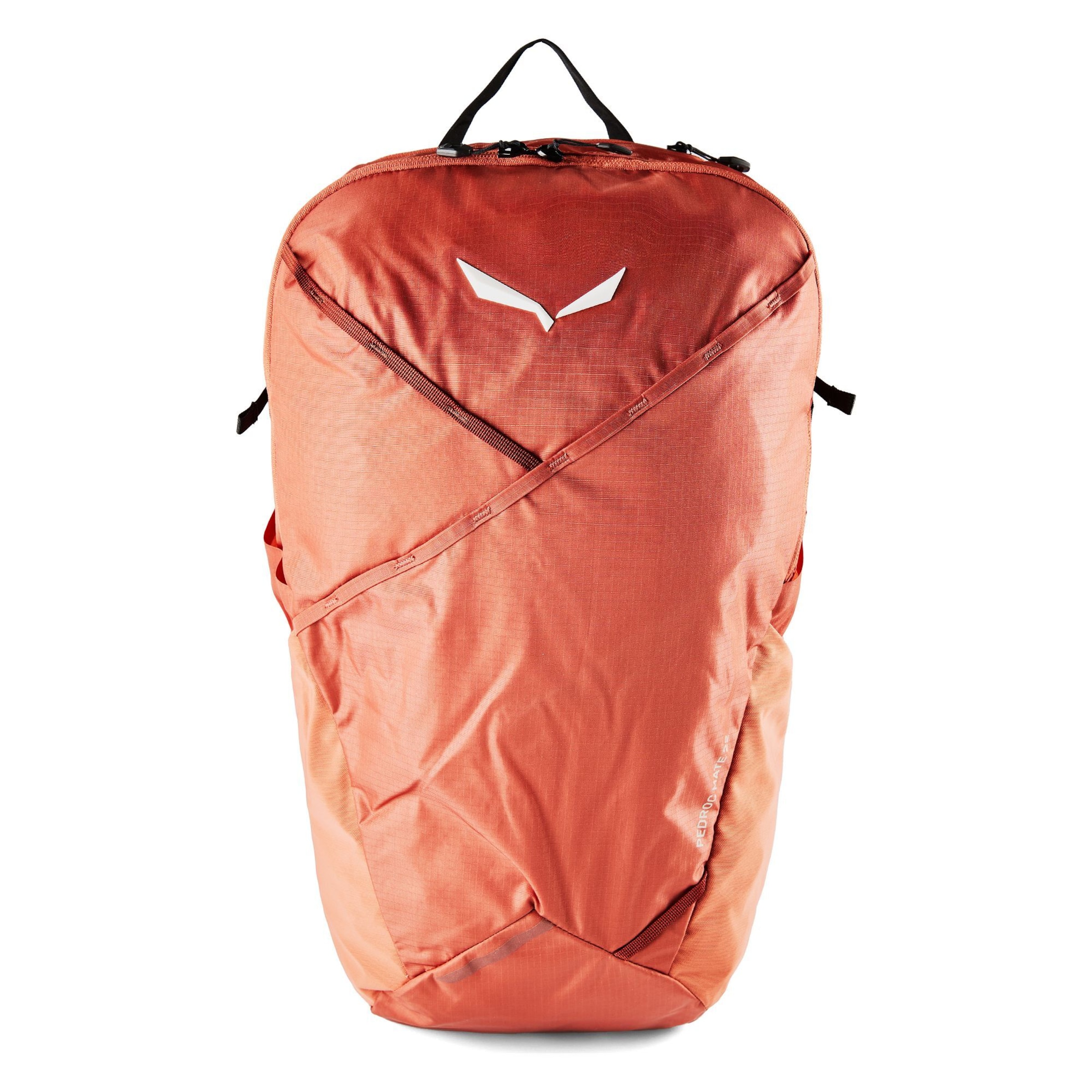 SALEWA Sportrugzak 'Pedroc Mate 22' in Rood: voorkant