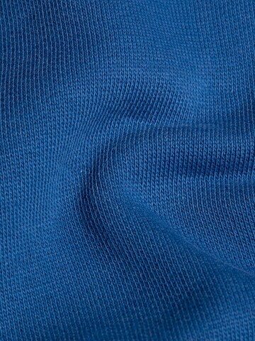 MAMMUT Sweatshirt in Blau