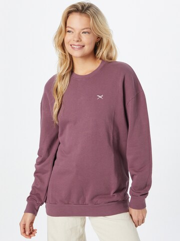 Iriedaily Sweatshirt 'Flaglie' i lilla: forside