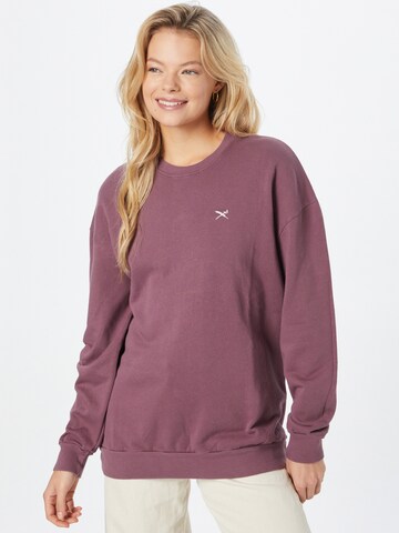 Sweat-shirt 'Flaglie' Iriedaily en violet : devant