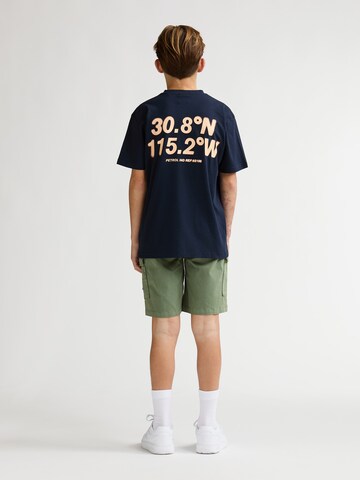 Petrol Industries Regular Broek in Groen