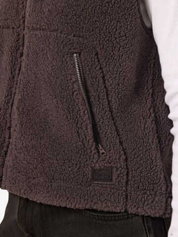 Noisy may Vest 'NMMasey' in Brown
