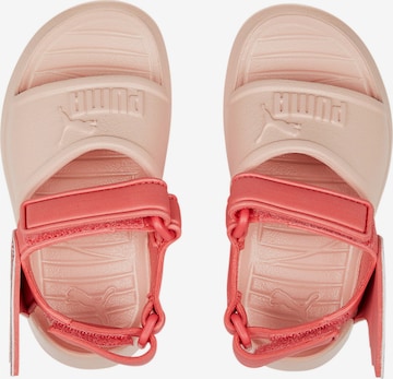 PUMA Beach & Pool Shoes 'Divecat v2 Injex' in Pink