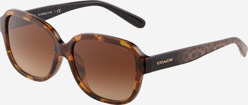 COACH Sunglasses '0HC8298U' in Brown: front