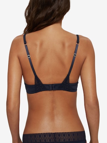 ESPRIT Push-up BH in Blau