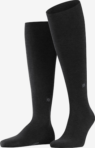 BURLINGTON Knee High Socks 'Dublin' in Grey: front
