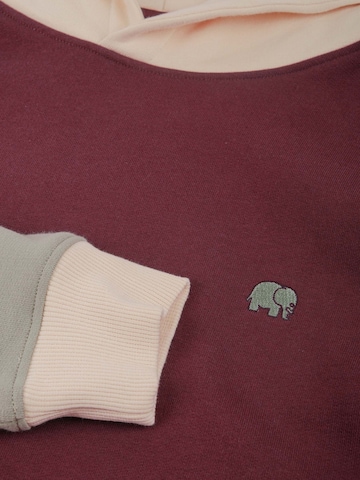 Trendsplant Sweatshirt in Rood